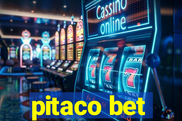 pitaco bet